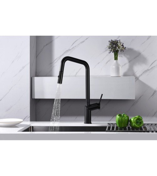 Grifo de cocina  BONN oro cepillado