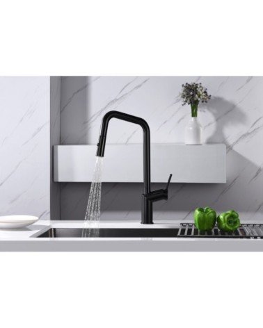 Grifo de cocina  BONN oro cepillado