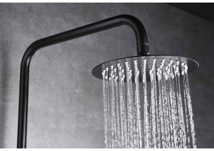 Cómo Limpiar el Rociador de Ducha